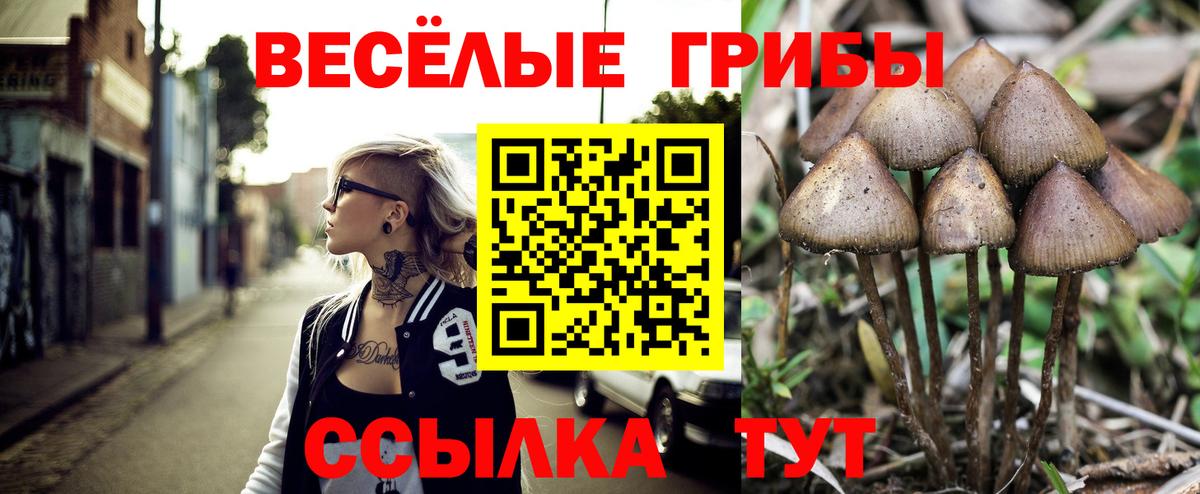 Галлюциногенные грибы Cubensis  где найти   Балашов  Вход с VPN 